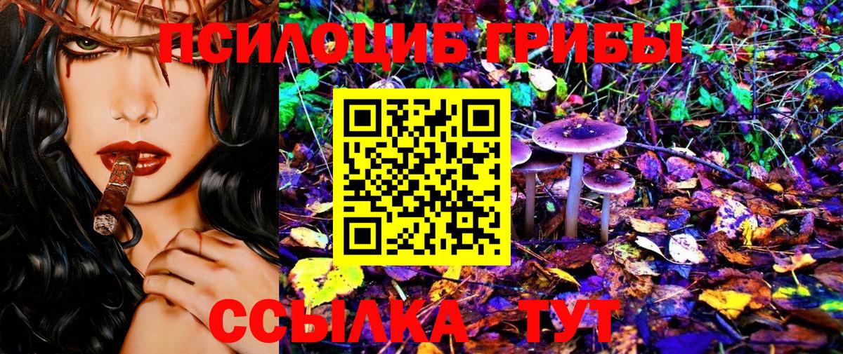 Галлюциногенные грибы MAGIC MUSHROOMS Отрадное